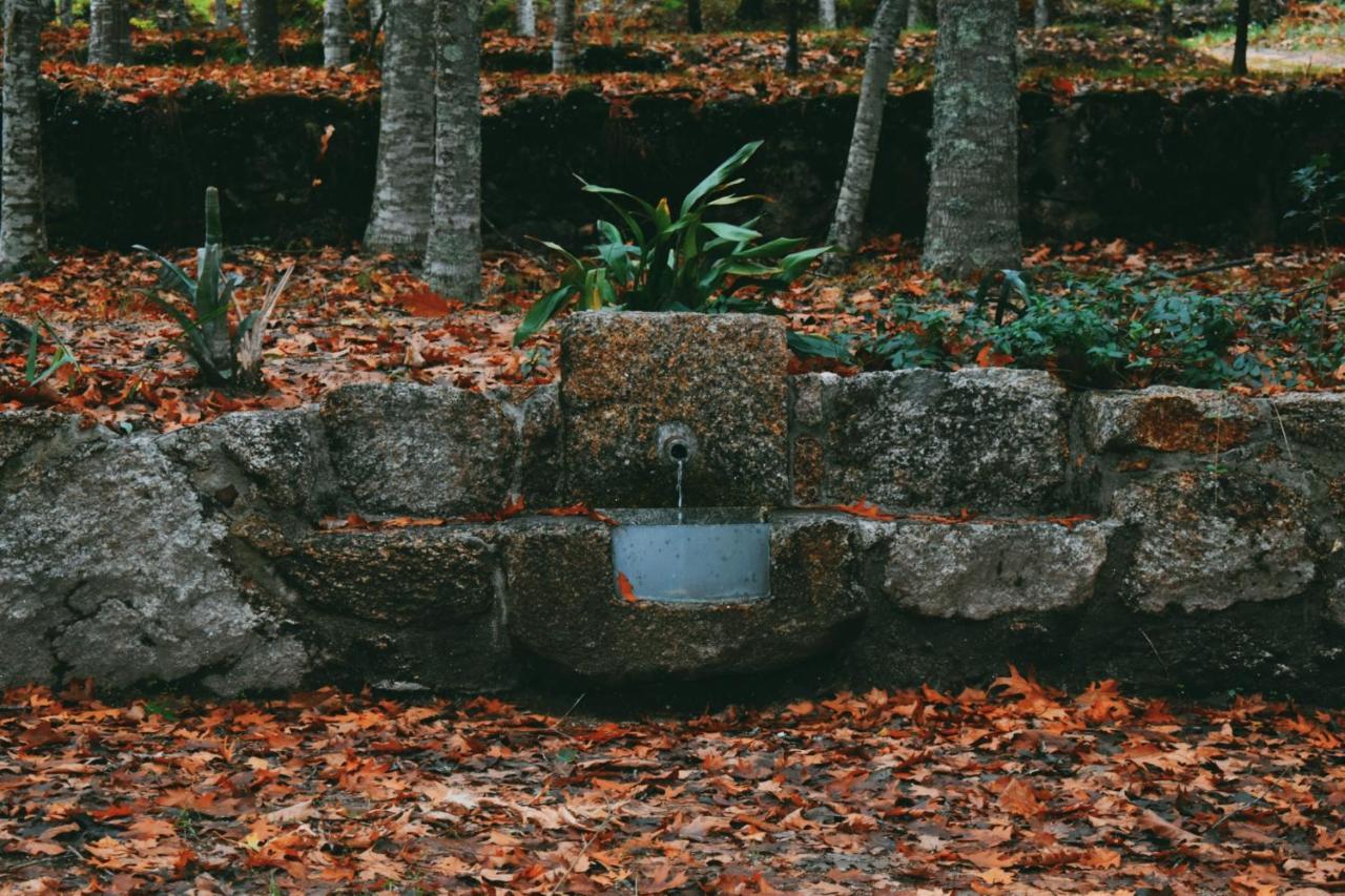 Quinta Das Fontes - Alojamento Rustico Local E Turismo Rural São Pedro do Sul Exterior foto