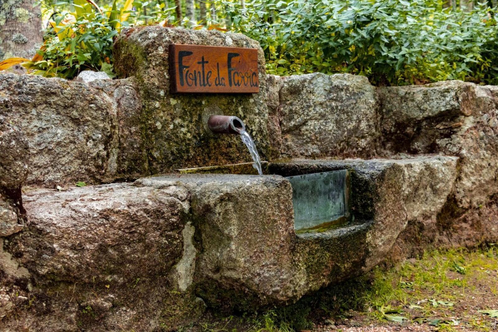 Quinta Das Fontes - Alojamento Rustico Local E Turismo Rural São Pedro do Sul Exterior foto